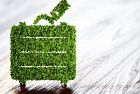 Vacanze ecosostenibili per salvaguardare l’ambiente in estate