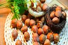 Le nocciole fanno ingrassare?