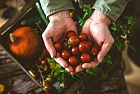 Agricoltura biologica, arrivano 10 milioni per i biodistretti
