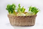 Valori nutrizionali dei finocchi