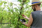 Il nuovo sistema di consulenza aziendale in agricoltura: ecco cosa c'è da sapere