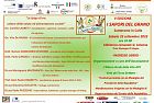 La Spiga d'oro: colture della salute ed alimentazione sociale