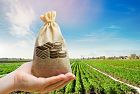 Domanda unica Pac, c'è tempo fino al 15 giugno 2022