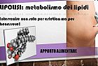 Catabolismo lipidico: origine alimentare