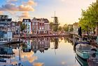 Amsterdam, un condominio per animali ed esseri umani: ecco il  Proto-Zoöp Zeeburg