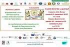 I Sapori del Grano - IV edizione
