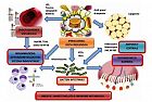 Lo strano dialogo tra intestino e cervello