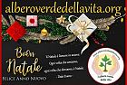 Merry Christmas and happy New Year
