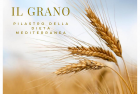 Il grano, pilastro della dieta mediterranea
