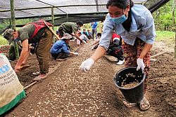 United Nations Office on Drugs and Crime (UNODC)