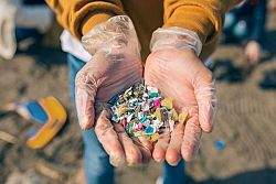 Cosa sono le microplastiche, una minaccia che inquina il nostro pianeta