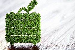 Vacanze ecosostenibili per salvaguardare l’ambiente in estate