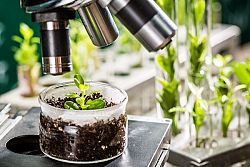 Pirateria genetica: la contraffazione in futuro sarà più difficile