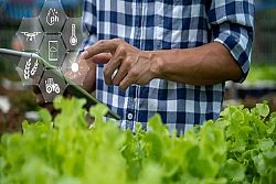 Agricoltura sostenibile: cos’è e su quali principi si fonda