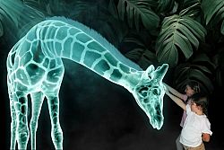 “Hologram Zoo”: in Australia uno zoo senza animali (solo ologrammi)