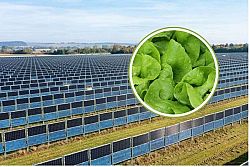 Agrivoltaico