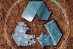 Sviluppata una plastica biodegradabile rivoluzionaria che si autodistrugge in 30 giorni