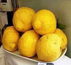 Limonata ed Insalata di limoni di Procida, nutraceutici Veg