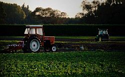 Qual è l’impatto ambientale dell’agricoltura sul territorio