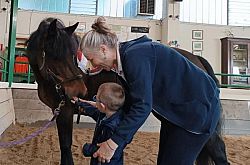Il cavallo e la cura