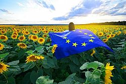 Ecco chi rappresenta l'agricoltura in Europa
