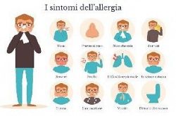 Quali sono gli antistaminici naturali per contrastare le allergie stagionali
