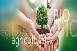 Agricoltura biologica, al via i premi europei per i progetti più innovativi