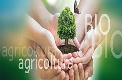 Agricoltura biologica, al via i premi europei per i progetti più innovativi