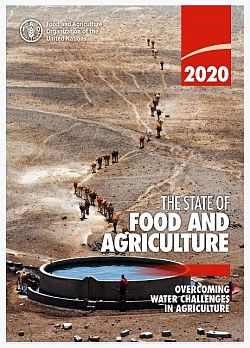 Superare le sfide idriche in agricoltura