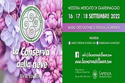 La conserva della neve