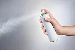 Come eliminare le blatte: ecco i metodi per dire addio agli scarafaggi