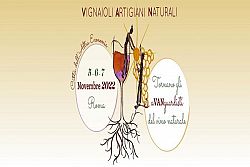 Vignaioli Artigiani Naturali