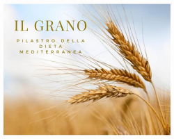 Il grano, pilastro della dieta mediterranea
