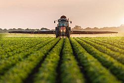 Agricoltura a rischio: dal troppo caldo al troppo freddo