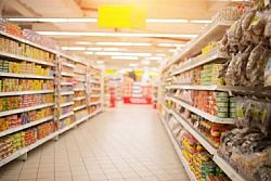 Farina di grillo nei supermercati, la Commissione europea approva