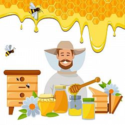 Le api amiche dell’uomo