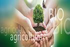 Agricoltura biologica, al via i premi europei per i progetti più innovativi
