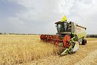 La ricetta per uscire dalla crisi del grano è la tecnologia israeliana