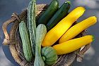 Le Zucchine bio, prodotto dietetico preferito
