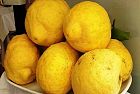 Limonata ed Insalata di limoni di Procida, nutraceutici Veg